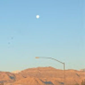 Meet your Posher, Isabella